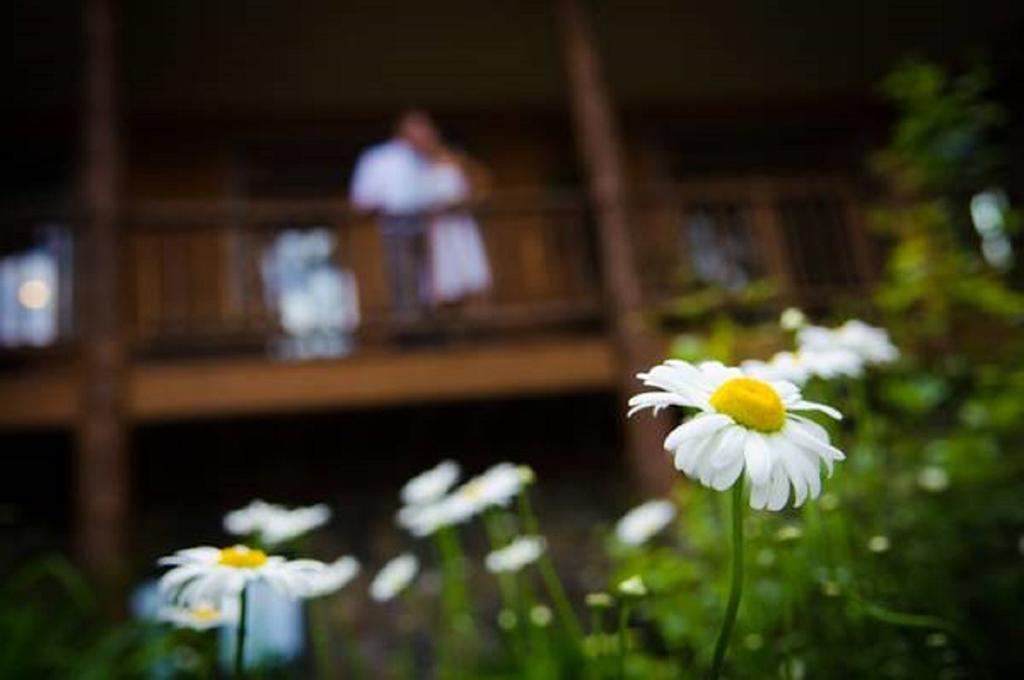The Fern Lodge Chestertown 외부 사진