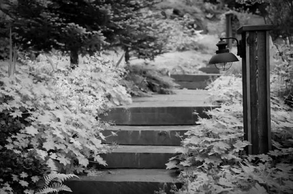 The Fern Lodge Chestertown 외부 사진